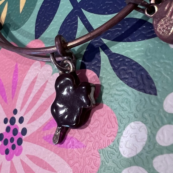 Disney parks Mickey bar Alex and Ani - Picture 5 of 5